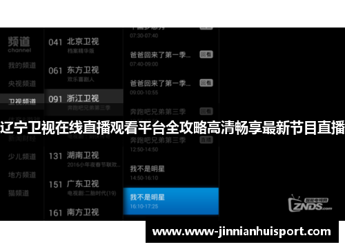 辽宁卫视在线直播观看平台全攻略高清畅享最新节目直播